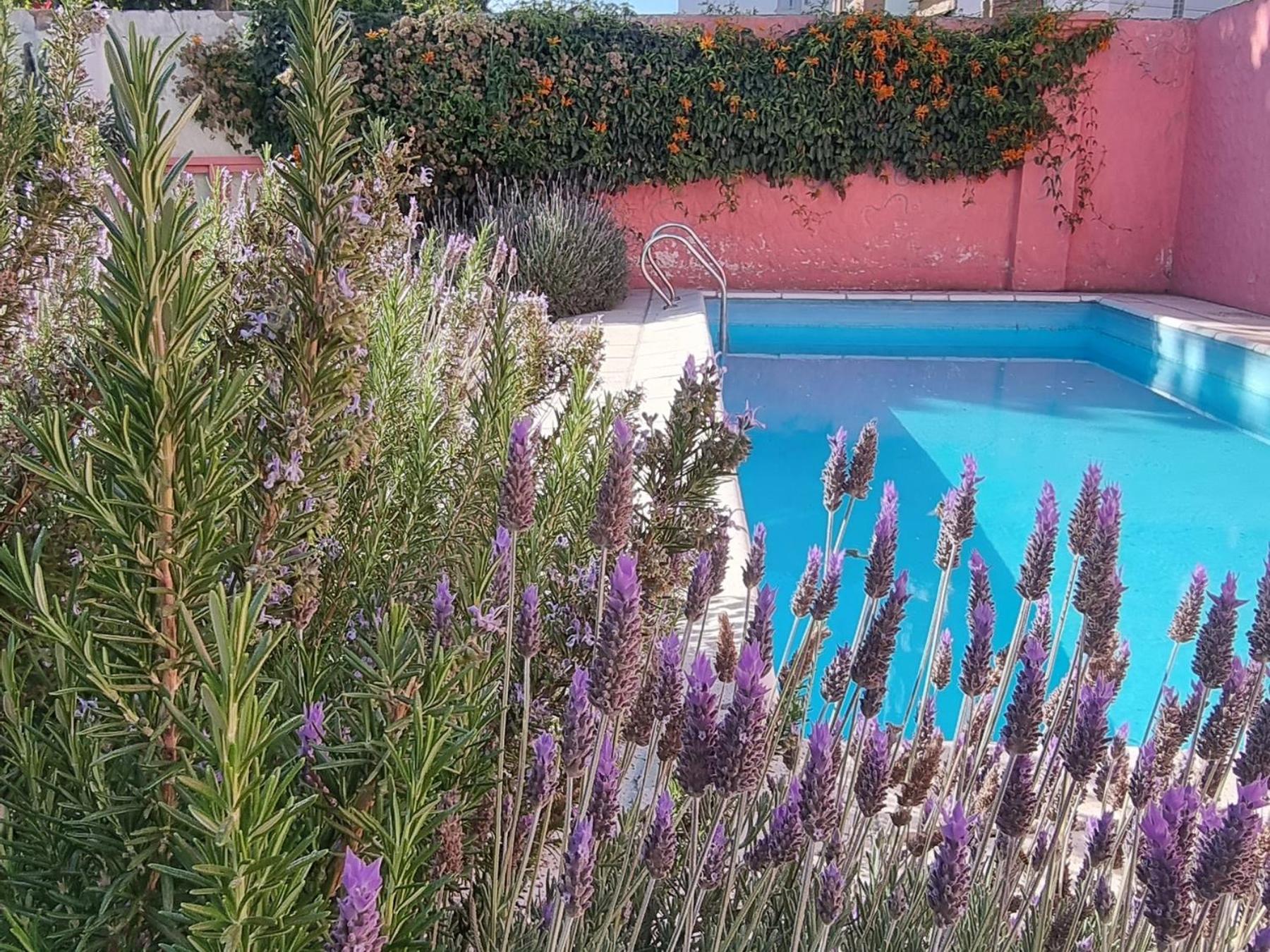Yunga Hostel Salta Buitenkant foto